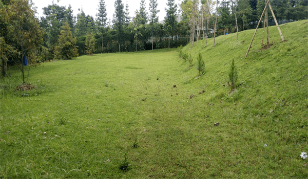 Taman Wisata Cigwa Puncak