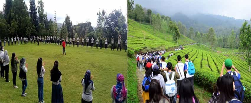 tempat outbound gunung mas puncak bogor