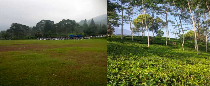 tempat outbound gunung mas puncak bogor