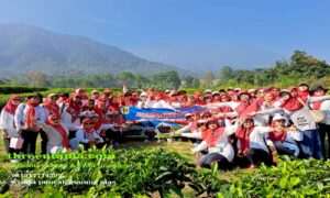 Paket Outbound Murah Puncak